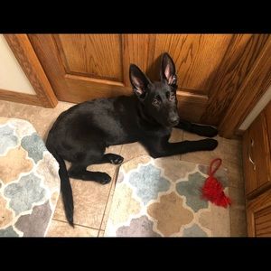 Meet your Posher, Sheryl